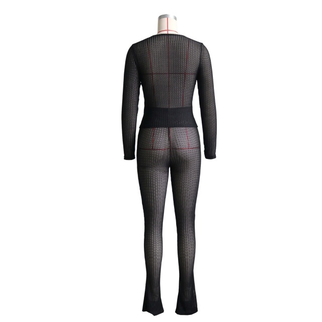 Solid Color See Through Slim Fit Pant Set