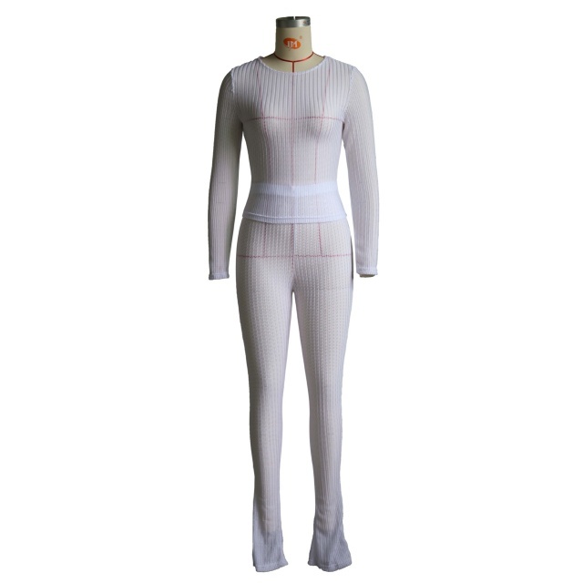 Solid Color See Through Slim Fit Pant Set