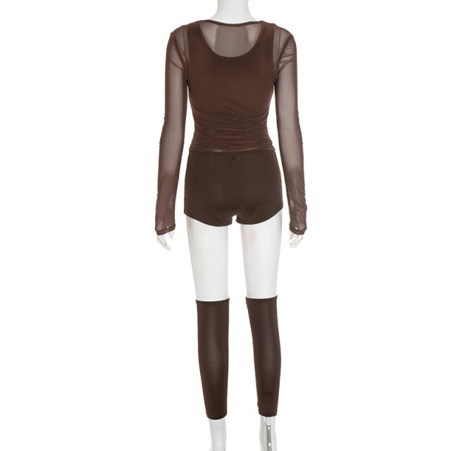 Sheer Mesh Long Sleeve Top Short Set (4 pieces)