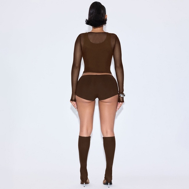 Sheer Mesh Long Sleeve Top Short Set (4 pieces)
