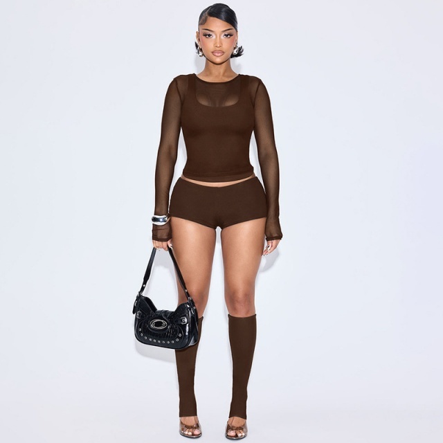 Sheer Mesh Long Sleeve Top Short Set (4 pieces)
