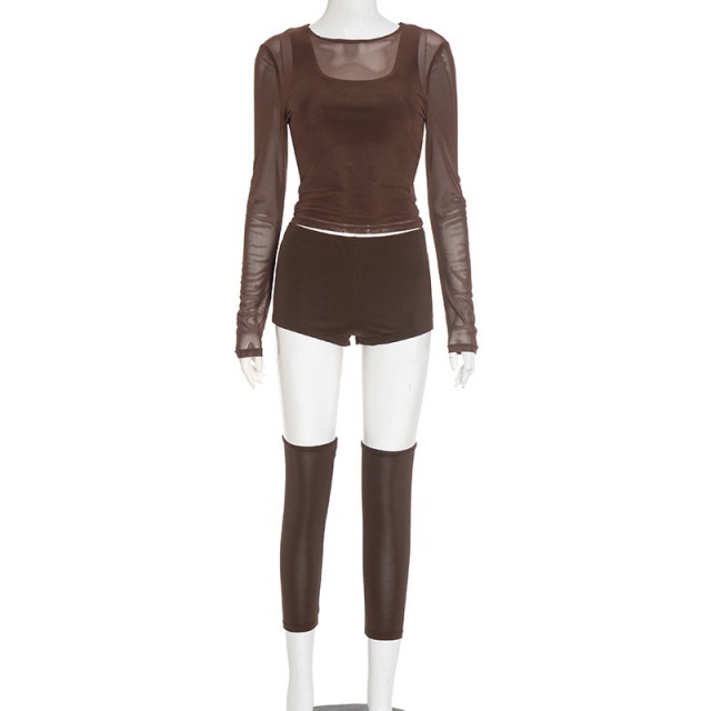 Sheer Mesh Long Sleeve Top Short Set (4 pieces)