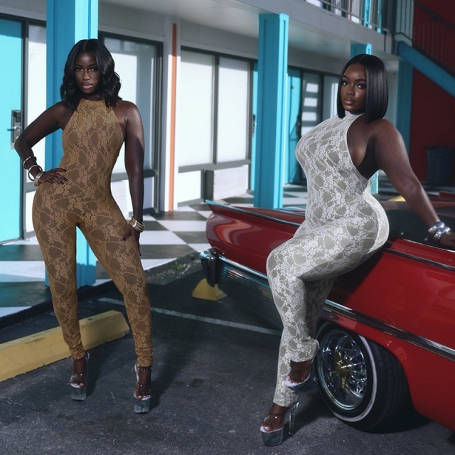 See Through Lace Halter Neck Backless Jumpsuit