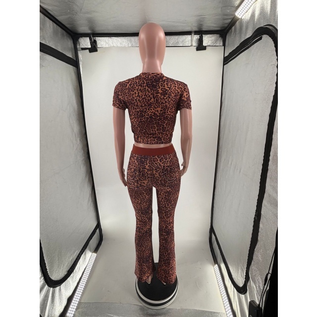 Leopard Printed Flare Pant Set Two Pieces