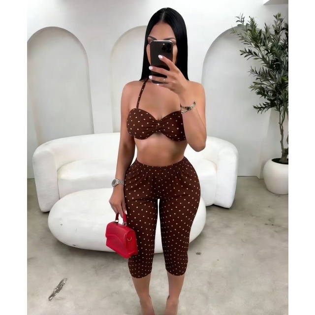 Dots Printed Halter Neck Top Skinny Cropped Pant Set