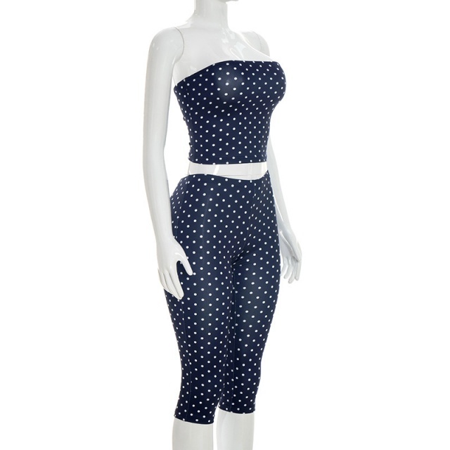 Polka Dots Printed Tube Top Midi Pant Set