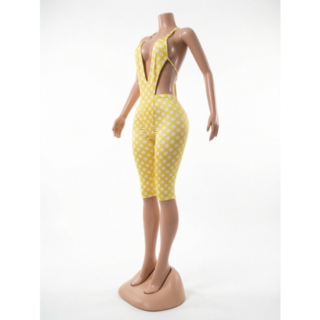 Printed Plunging V Neck Bodysuit Slim Fit Midi Pant Set