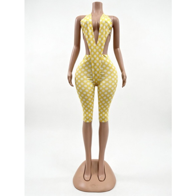 Printed Plunging V Neck Bodysuit Slim Fit Midi Pant Set