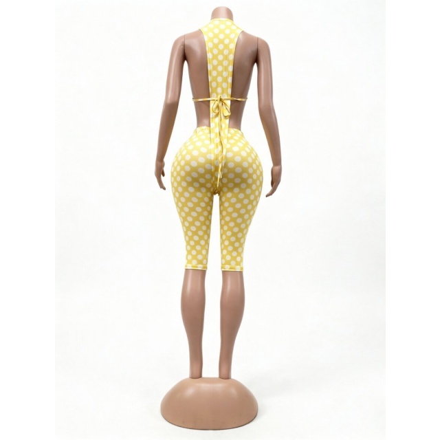 Printed Plunging V Neck Bodysuit Slim Fit Midi Pant Set