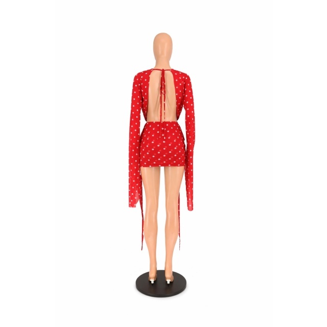 Printed Plunging V Neck Bodycon Dress