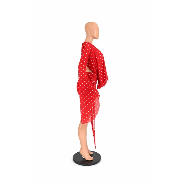 Printed Plunging V Neck Bodycon Dress