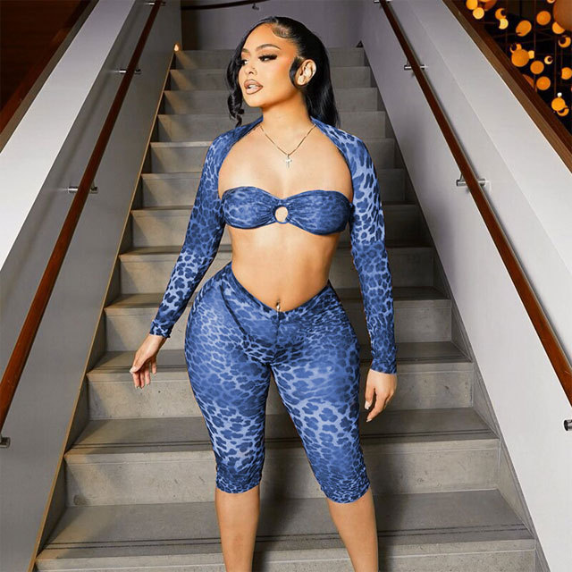 Mesh Leopard Print 3 Piece Short Set