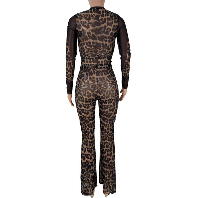 Mesh Leopard Print Bell Pants Set