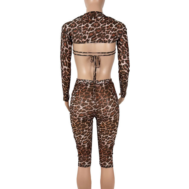 Mesh Leopard Print 3 Piece Short Set