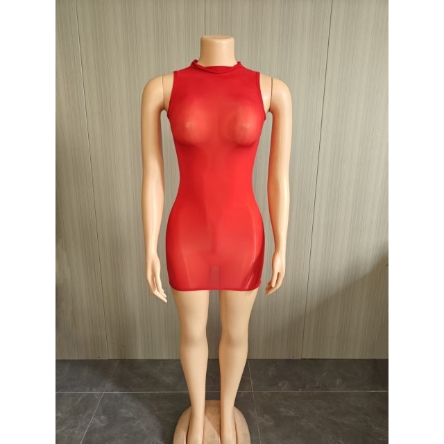 Sleeveless Sheer Mesh Tight Lingerie Dress