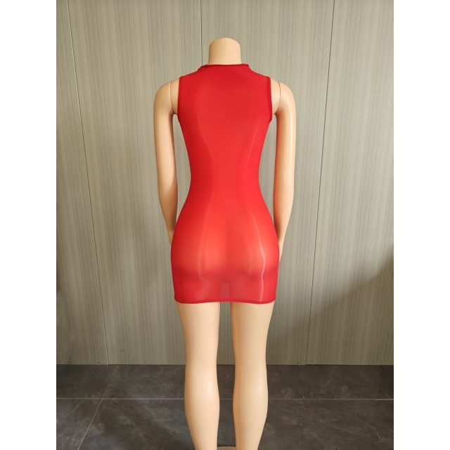 Sleeveless Sheer Mesh Tight Lingerie Dress