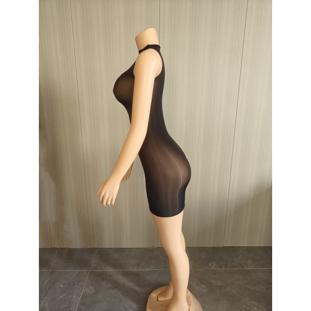 Sleeveless Sheer Mesh Tight Lingerie Dress