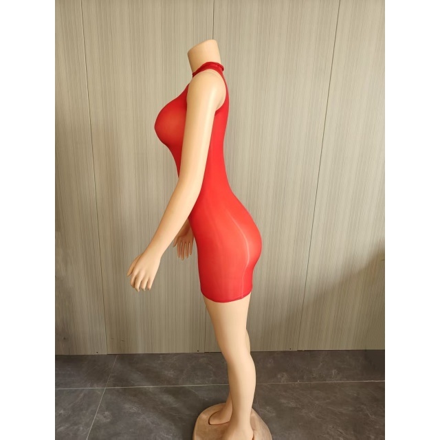 Sleeveless Sheer Mesh Tight Lingerie Dress