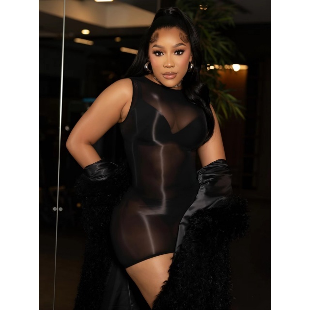 Sleeveless Sheer Mesh Tight Lingerie Dress