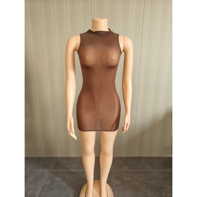 Sleeveless Sheer Mesh Tight Lingerie Dress