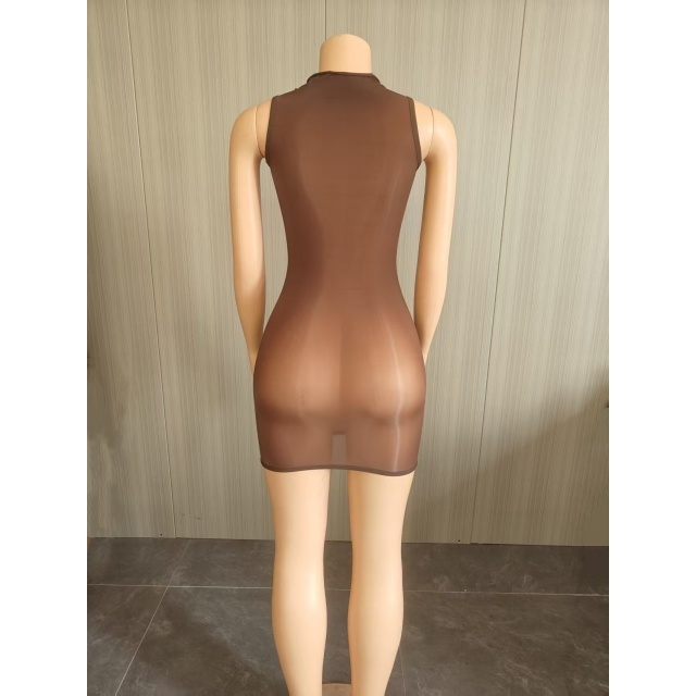 Sleeveless Sheer Mesh Tight Lingerie Dress