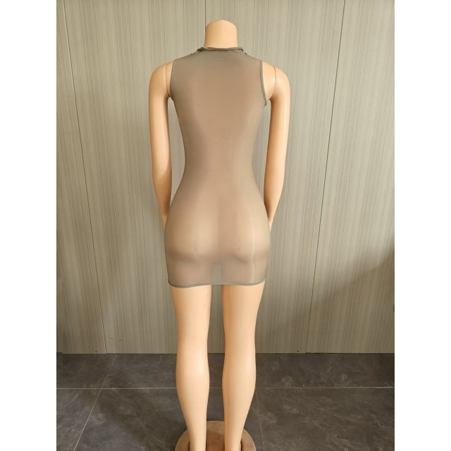 Sleeveless Sheer Mesh Tight Lingerie Dress