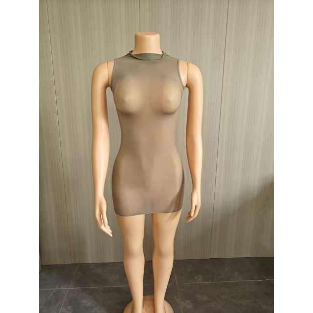 Sleeveless Sheer Mesh Tight Lingerie Dress