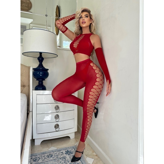 Cut Out Sheer Mesh Lingerie Set