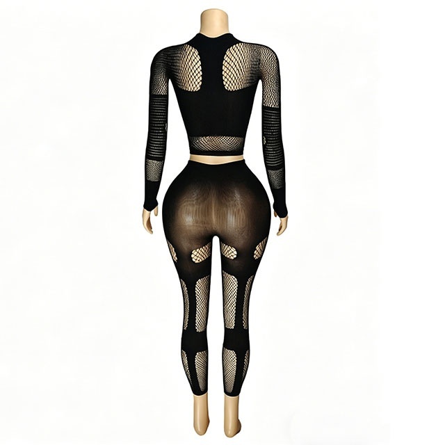 Sheer Mesh Hollow Out Bodycon Lingerie Pant Set