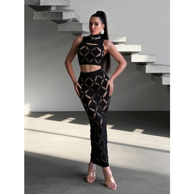 Sheer Mesh Hollow Out Bodycon Skirt Set