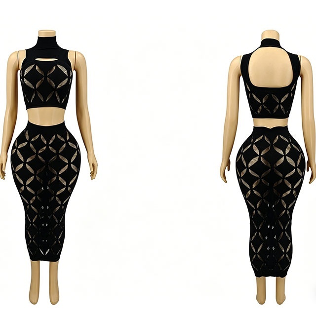 Sheer Mesh Hollow Out Bodycon Skirt Set