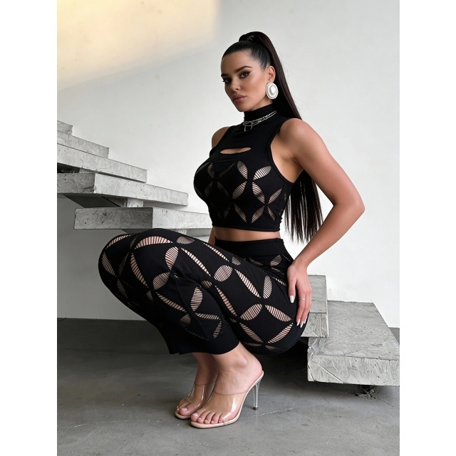 Sheer Mesh Hollow Out Bodycon Skirt Set