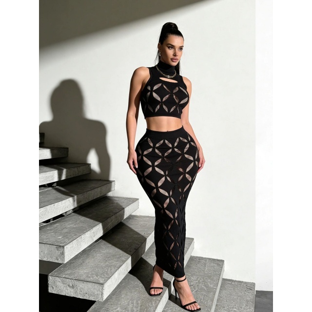 Sheer Mesh Hollow Out Bodycon Skirt Set