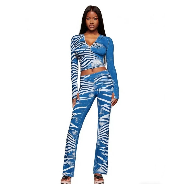 Zebra Print Hooded Top Trousers Set