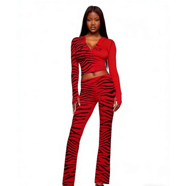 Zebra Print Hooded Top Trousers Set