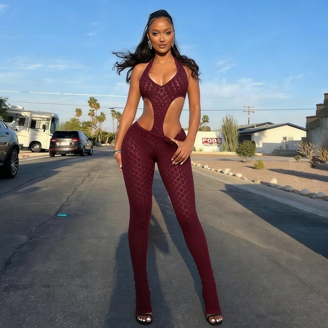 Sheer Slimming Deep V-Neck Knitted Jumpsuit