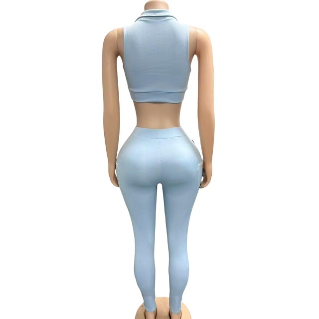Sleeveless Crop Top Colorblock Fitted Pant Set