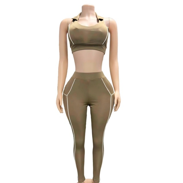 Sleeveless Crop Top Colorblock Fitted Pant Set