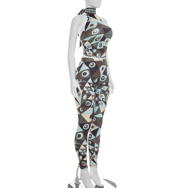 Contrast Color Printed Halter Crop Top Skinny Pant Set