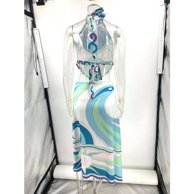 Printed Halter Backless Top Irregular skirt Set