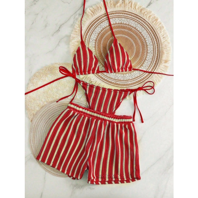 Hollow Out Mesh Bikini Set with Shorts 3 Pieces