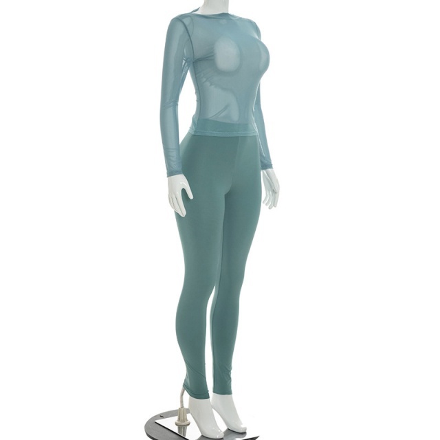 See Through Long Sleeve Top Skinny Pant Set