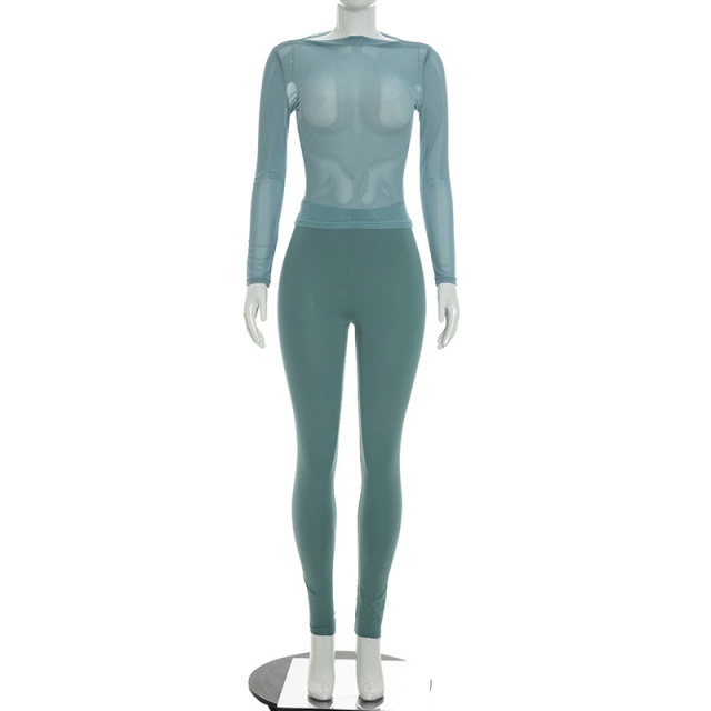 See Through Long Sleeve Top Skinny Pant Set