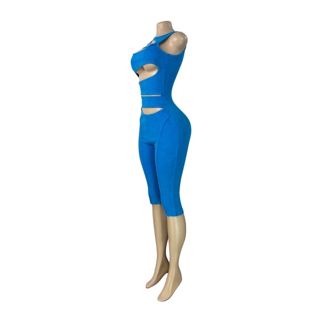 Hollow Out Sleeveless Back Zipper Up Fitted Midi Jumpsuit