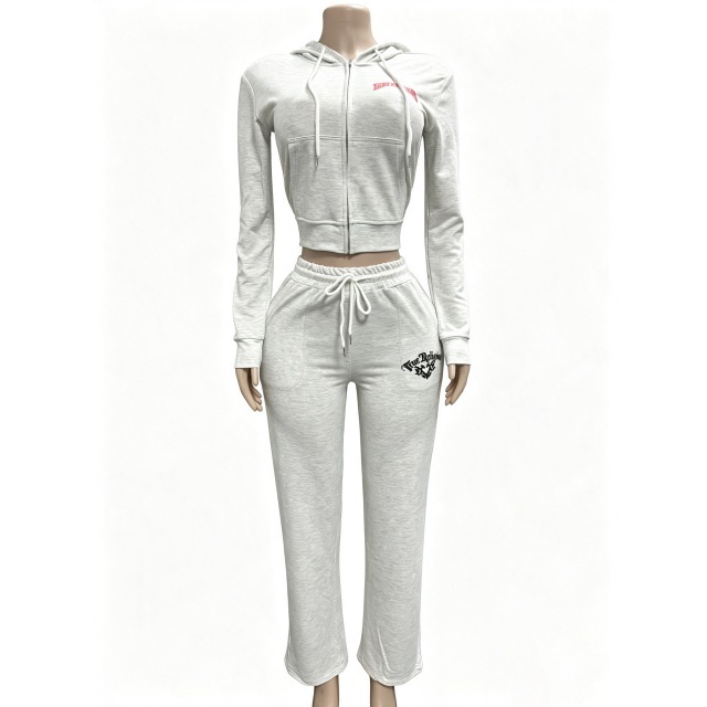 Long Sleeve Hooded Zipped Up Top Casual Pant Set