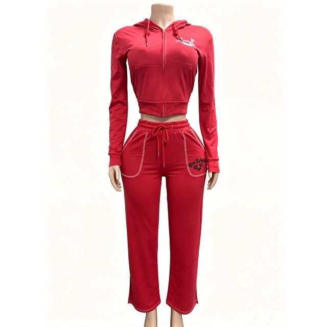 Long Sleeve Hooded Zipped Up Top Casual Pant Set