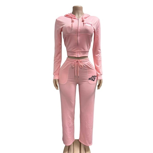 Long Sleeve Hooded Zipped Up Top Casual Pant Set