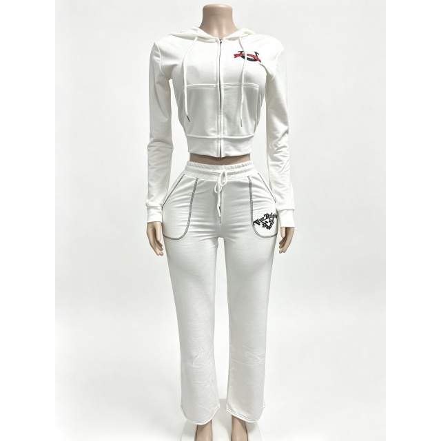 Long Sleeve Hooded Zipped Up Top Casual Pant Set