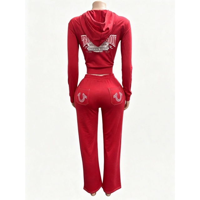 Long Sleeve Hooded Zipped Up Top Casual Pant Set