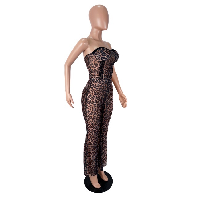 Leopard Printed Tube Top Long Pant Set